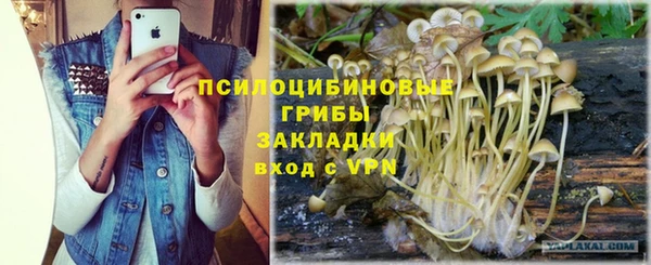гидра Абинск
